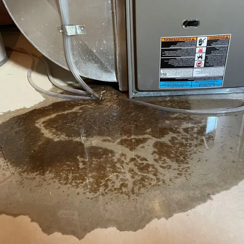 Pipe Burst and Leak Restoration in San Dimas, CA